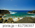 南国の海岸 61736307