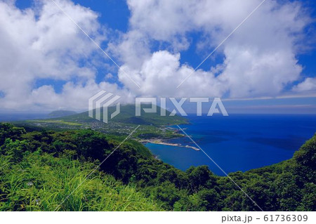 南国の島3 南国の島3 61736309