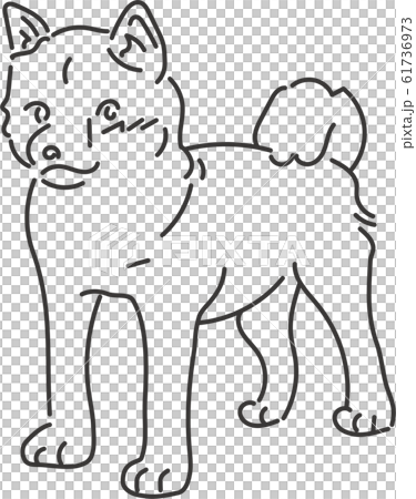 柴犬　線のみ 61736973