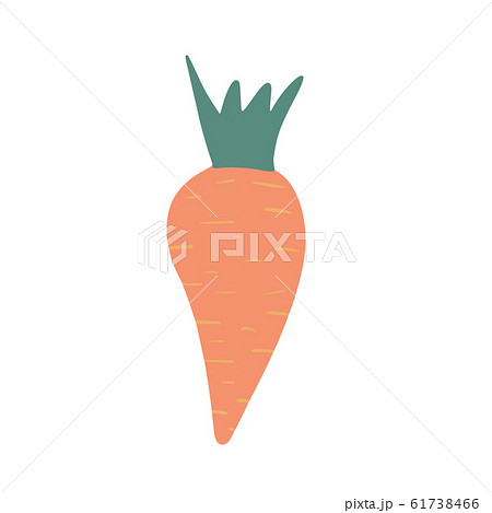 Carrot in doodle style isolated on white Carrot in doodle style isolated on white 61738466