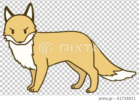 簡單的fox_8的插圖 61738851