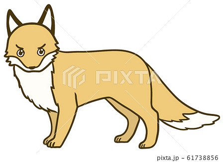 シンプルなキツネのイラスト 10のイラスト素材