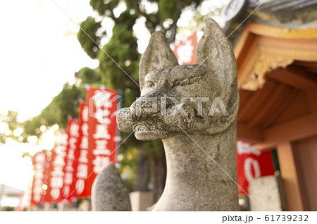 信太森葛葉稲荷神社 61739232