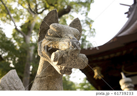 信太森葛葉稲荷神社 信太森葛葉稲荷神社 61739233