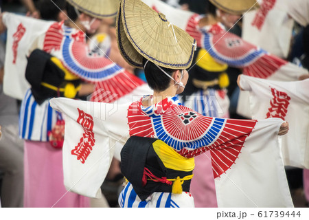 阿波踊り 熱い夜 阿波踊り 熱い夜 61739444