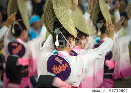 阿波踊り　熱い夜 61739602