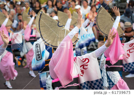 阿波踊り 熱い夜 阿波踊り 熱い夜 61739675