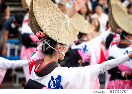 阿波踊り 熱い夜 阿波踊り 熱い夜 61739704