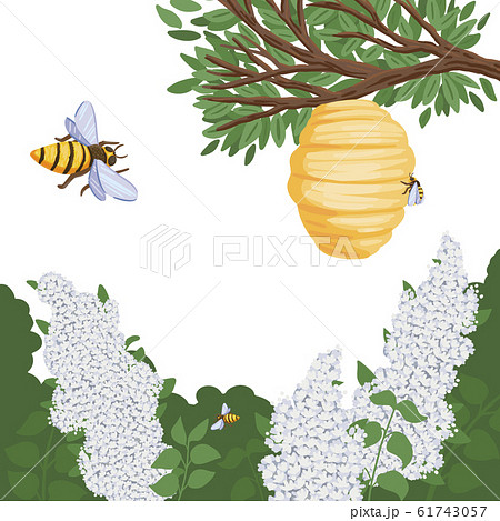 A bee flies to the hive with honey, lilac in the forest. Vector illustration A bee flies to the hive with honey, lilac in the forest. Vector illustration 61743057