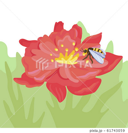 The bee crawls along the flower, collects nectar. Vector illustration The bee crawls along the flower, collects nectar. Vector illustration 61743059