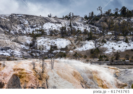 Mammoth hot spring of Yellowstone, Wyoming, USA. 61743765