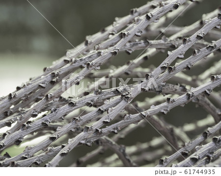 Natural fence made of wicker branches. Natural fence made of wicker branches. 61744935