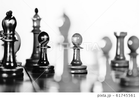 Position of the chess game Position of the chess game 61745561