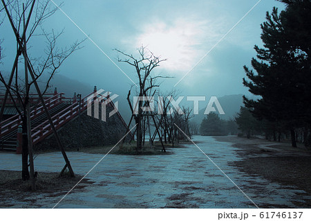 京都　宇治公園の風景 61746137