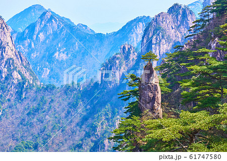 中国　黄山　夢筆生花 61747580