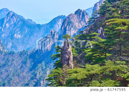 中国　黄山　夢筆生花 61747595