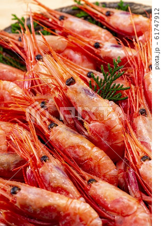 新鮮で美味しい海老 61747912