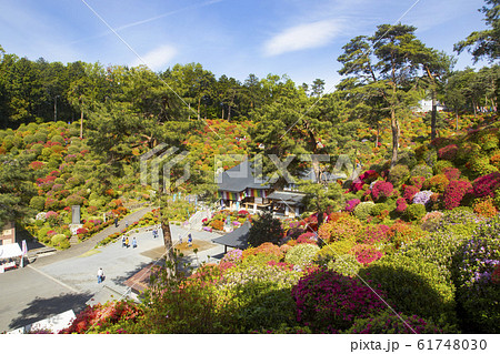 塩船観音寺 61748030