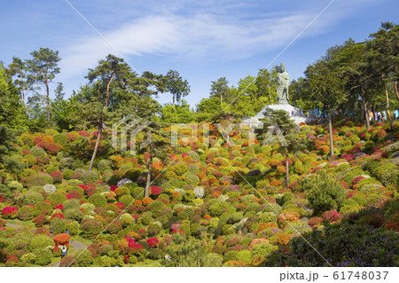 塩船観音寺 61748037