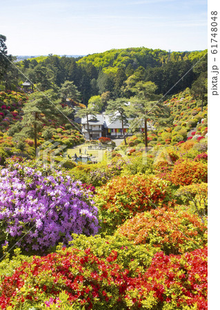 塩船観音寺 61748048