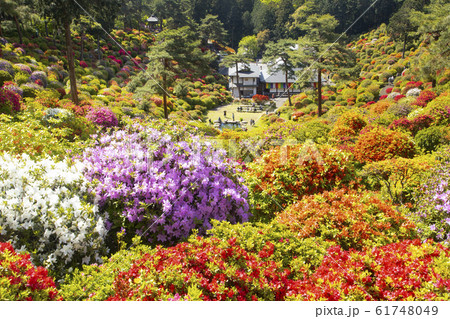 塩船観音寺 61748049