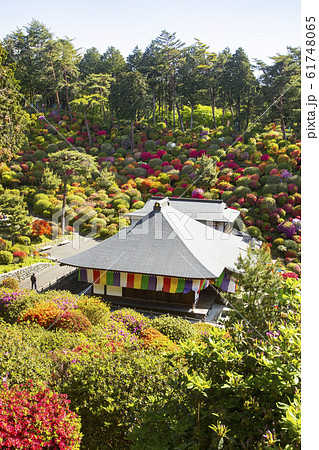 塩船観音寺 61748065