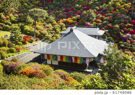 塩船観音寺 61748086