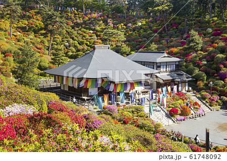 塩船観音寺 61748092