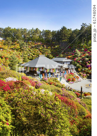 塩船観音寺 塩船観音寺 61748094