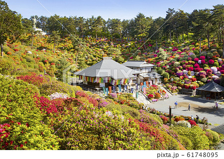 塩船観音寺 61748095