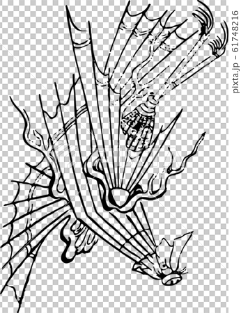 骨傘 ほねからかさ のイラスト素材