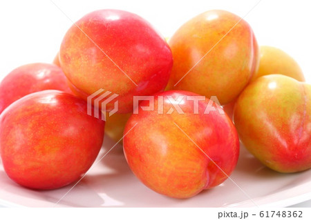 プラム　すもも　白背景 61748362