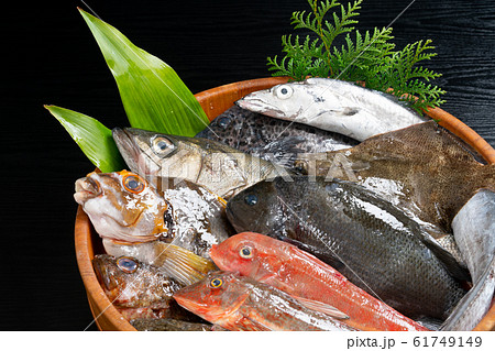 鮮魚盛り合わせ 61749149