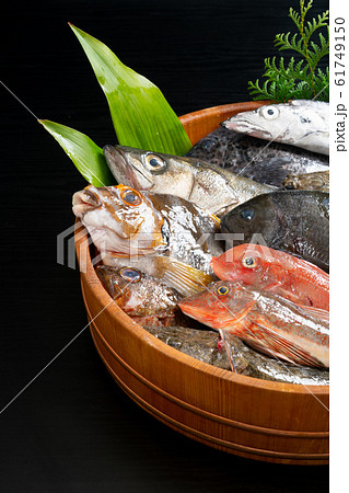 鮮魚盛り合わせ 61749150