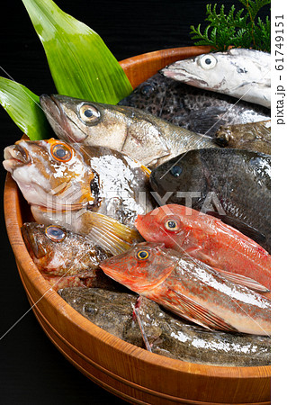 鮮魚盛り合わせ 61749151