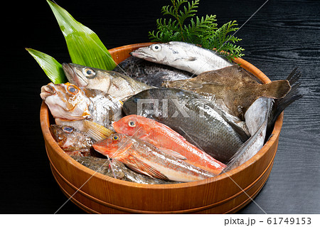 鮮魚盛り合わせ 61749153