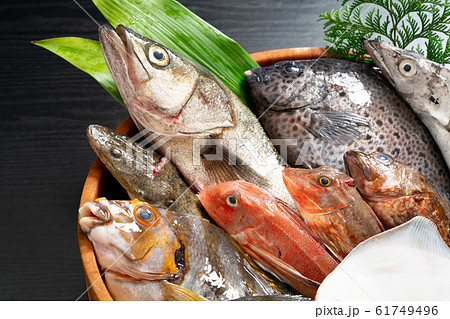 Assortment of edible fresh fish and shellfish - Stock Image - H110