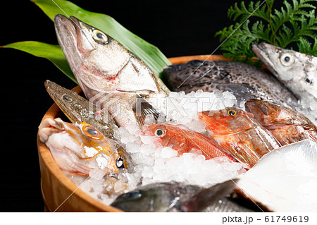 鮮魚盛り合わせ 61749619