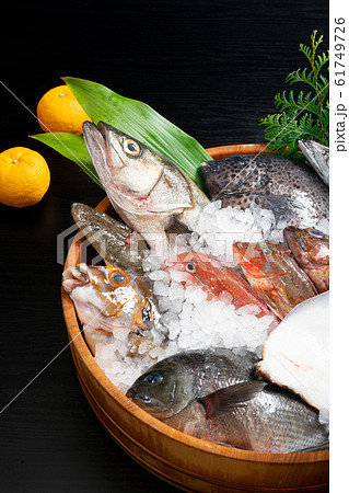 鮮魚盛り合わせ 61749726