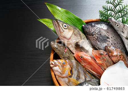 鮮魚盛り合わせ 61749863
