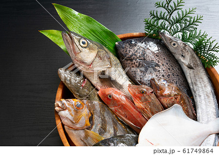 鮮魚盛り合わせ 61749864