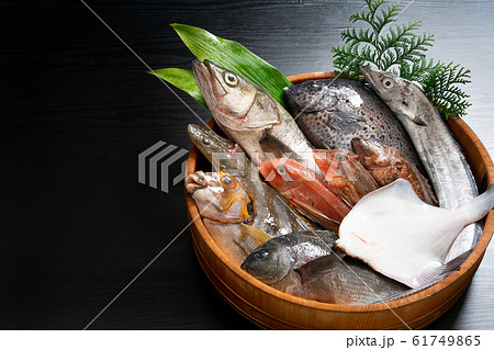 鮮魚盛り合わせ 鮮魚盛り合わせ 61749865
