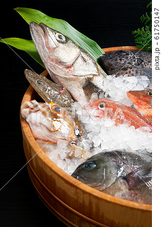 鮮魚盛り合わせ 鮮魚盛り合わせ 61750147