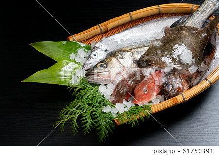 鮮魚盛り合わせ 61750391