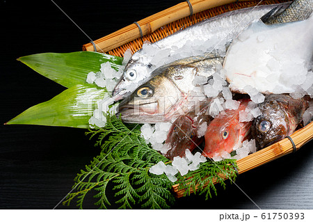 鮮魚盛り合わせ 61750393