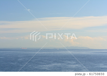 神奈川・城ヶ島 61750650