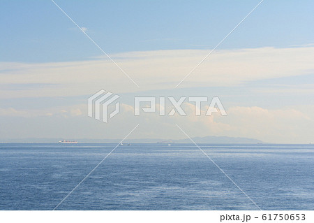 神奈川・城ヶ島 61750653