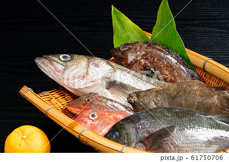 鮮魚盛り合わせ 鮮魚盛り合わせ 61750706