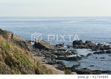 神奈川・城ヶ島 神奈川・城ヶ島 61750880