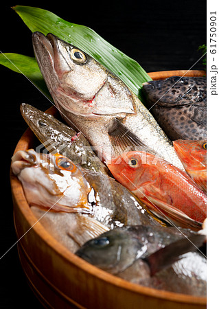 鮮魚盛り合わせ 鮮魚盛り合わせ 61750901